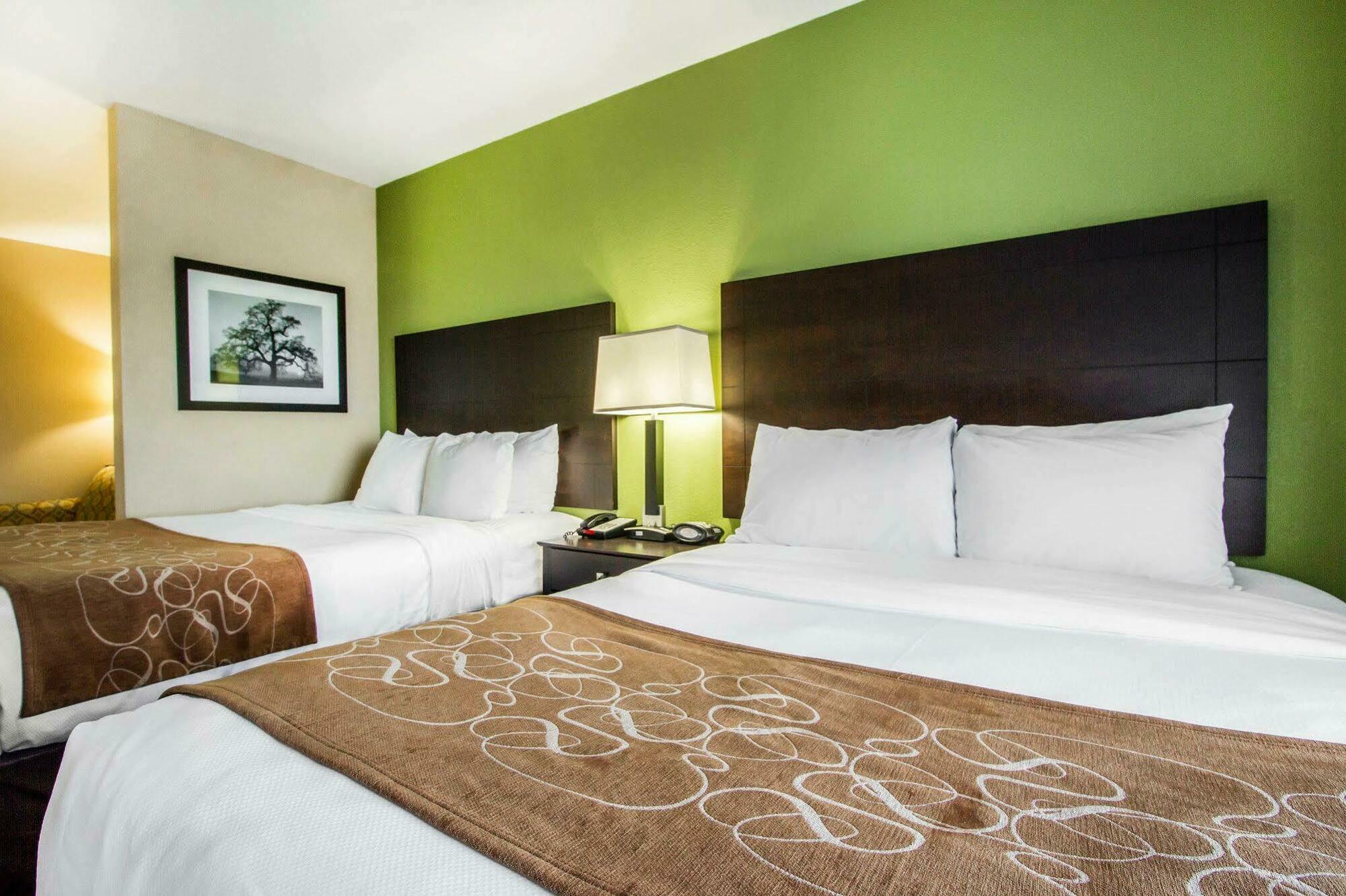 Comfort Suites Jackson I-40 מראה חיצוני תמונה